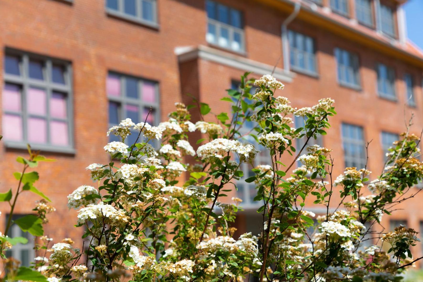 Wohnen Am Suedstrand - Ferienwohnung 1 5 威克奥夫弗尔 外观 照片